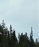 04875.jpg
