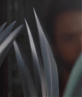 09676.jpg
